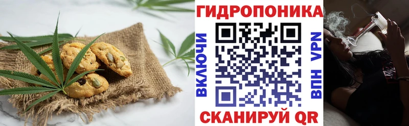 Canna-Cookies марихуана Купить где Белокуриха