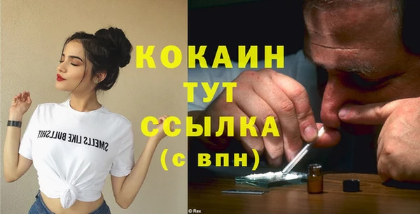 стаф Киренск