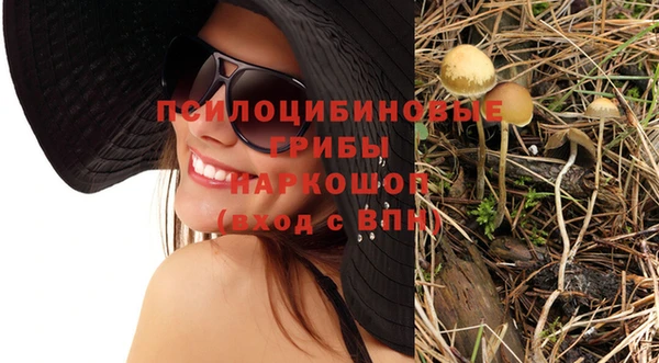 твердый Касимов