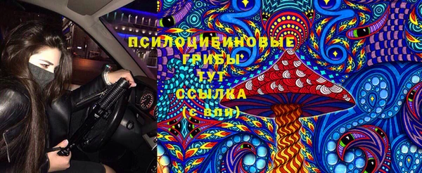 MDMA Карпинск