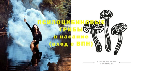 MDMA Карпинск